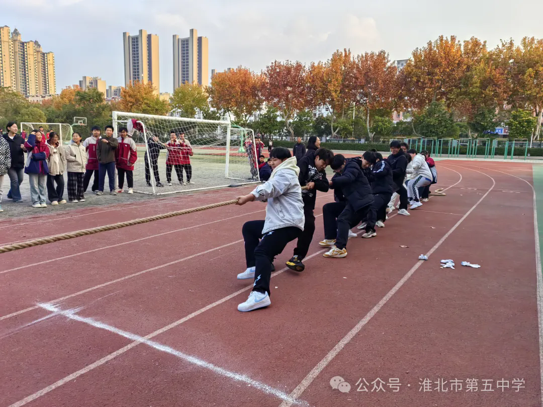 640.webp (3).png