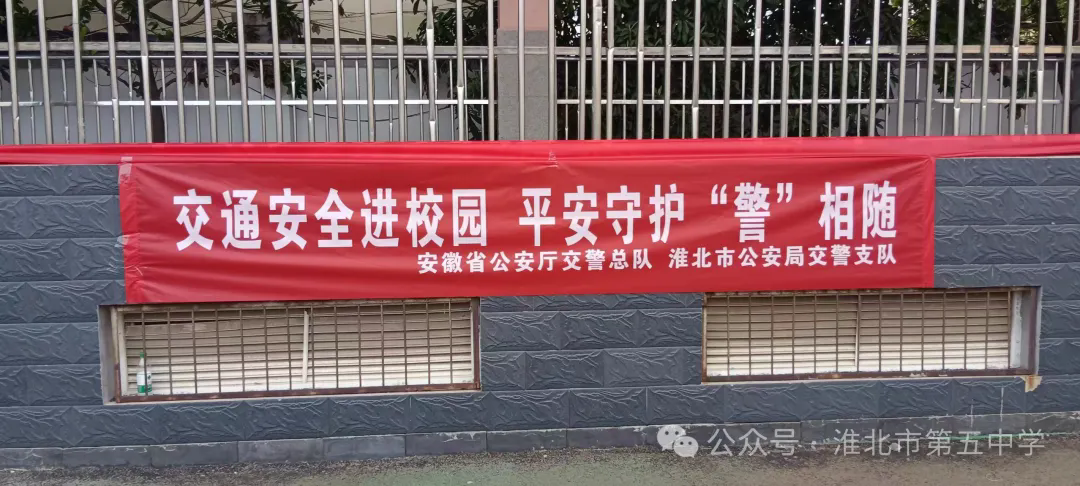 1.webp (1).png