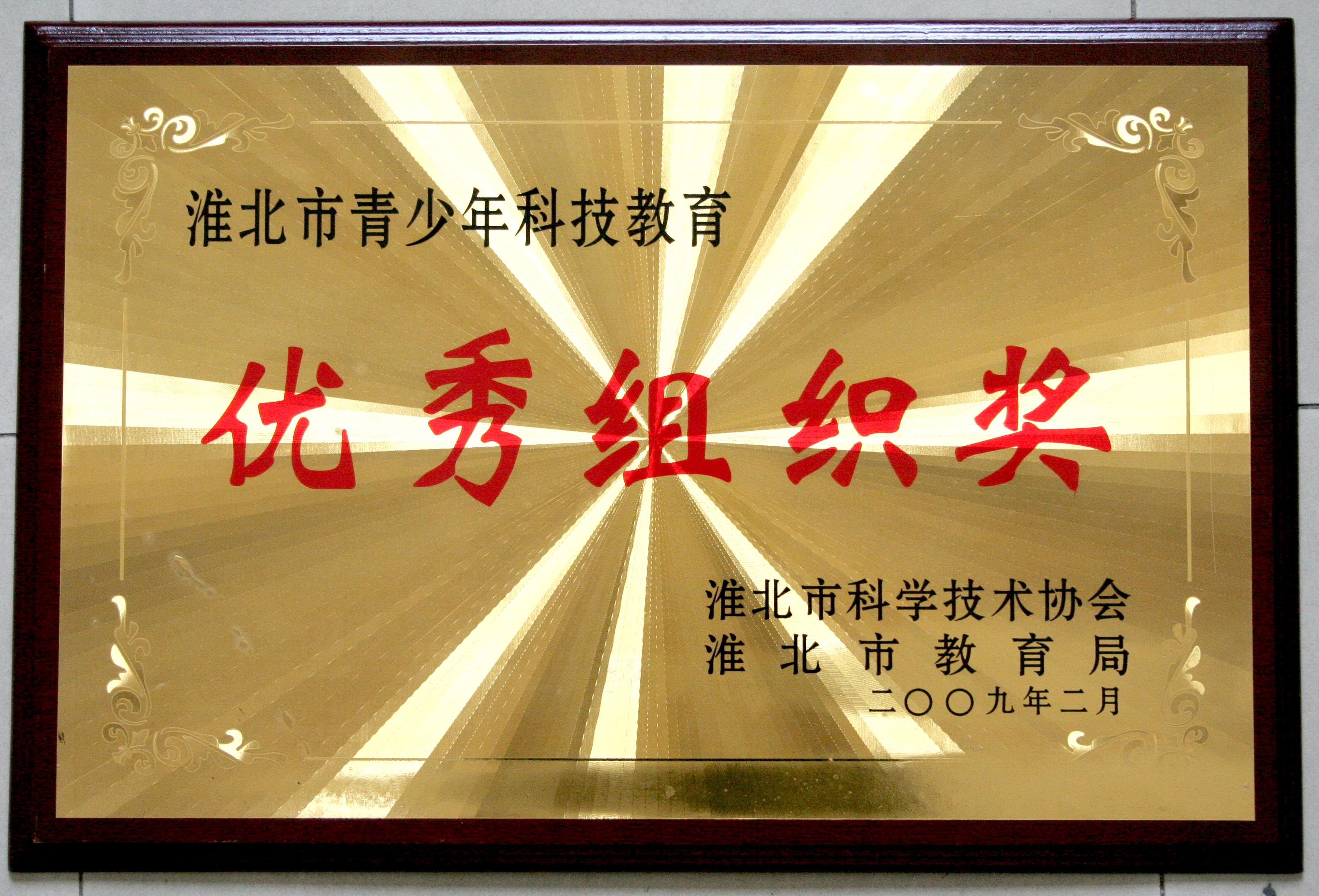 2008淮北市青少年科技教育优秀组织奖.jpg